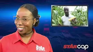 STAR CAP: Vitiligo victim reclaims her skin | Kern Spencer tilling the soil | Sean Kingston arrested