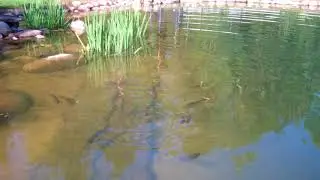 VID00001 2