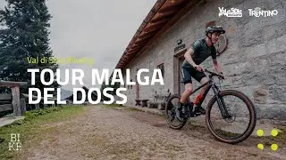 Tour Malga Del Doss N.719 // Val di Sole Bikelog