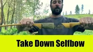 Take Down Recurve Selfbow