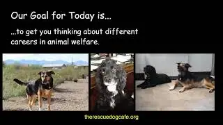 ARDC Careers in Animal Welfare Program Library