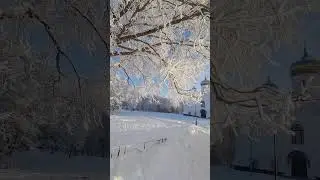 Зима, деревья в инее