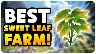 Quick & Easy! Ultimate Sweet Leaf Farming Route In Palia!
