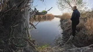 Лучшая рыбалка за последние годы! Рыбачу как в детстве, только червяк и удочка.