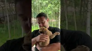 @Livingwithlions