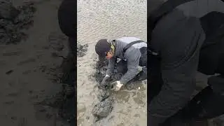 조개잡는법 #해루질 #우럭조개 #fishing #낚시