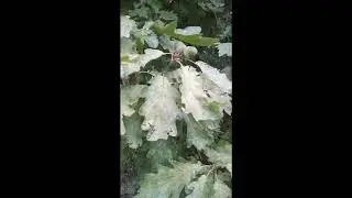 Гармония души и тела