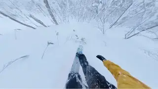 Japan Tree Riding