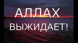 Каждый выбирает свой путь.  Аллах выжидает.  (Коран 57:16, 17:84)