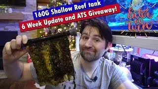 160 Gallon Shallow Reef Aquarium - 6 Week Tank Update & Clear Water Scrubber ATS Giveaway!