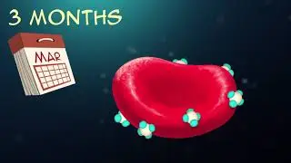 What is Hemoglobin A1C?