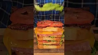Exploring Galactic Flavors With LSP's Stellar Sandwich!🚀 #shorts #adventuretime #lsp #sandwich