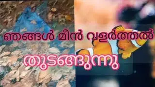 ep#1 ഞങ്ങൾ മീൻ വളർത്തൽ തുടങ്ങുന്നു || കുറഞ്ഞ ചിലവിൽ മീൻ കൃഷി 😍😍