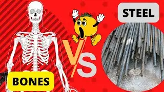 6 Amazing 🤩 Facts About Human Bones || Human bone vs Steel || Bone 🦴 Facts that will blow your mind
