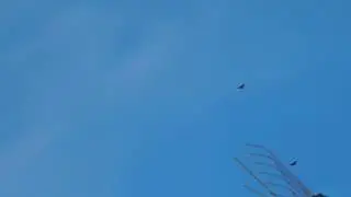 24.10.2016.николаевские поздние