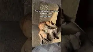 А у вас есть такие дети? #cat #рыжийкот #кот #котики #котик #питомцы #животные