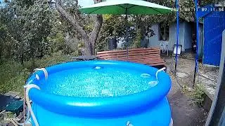 Варю суп из кота сегодня