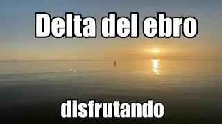 Pesca en el Delta del Ebro muchas emociones