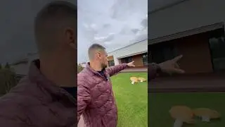 10 из 10 за это расположение дома на участке
