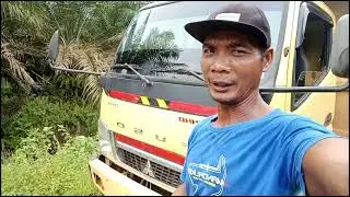 hari ini cuacane menyala prenn #perkebunankelapasawit  #perkebunankelapasawitkalimantan