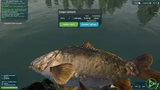 Ultimate Fishing Simulator: Saint Zeno's Lakes - Mirror Carp 31,03 Kg