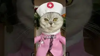 Внимание 1 сентября. Тик ток приколы с животными