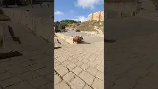 Бесплатный гид по Дагестану!!!🤗👏