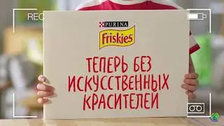 Корм для кошек Purina Friskies