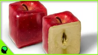 Have You Ever Seen A Square Apple? #shorts