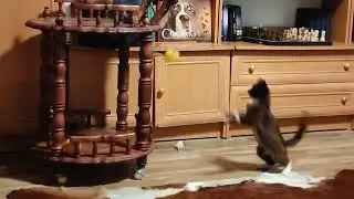 Жуткая гроза и Демон пофигист))