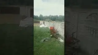 10 августа 2024 г.