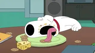 BRIAN SIDE OF THE MOUTH DOG EATING