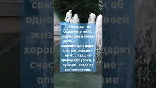 1 августа 2024 г.