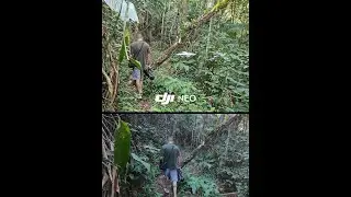 DJI NEO | FOLLOW ME | Drone me seguiu no meio do mato.