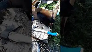 ОДИН В ПОЛЕ-ВОИН😁😜