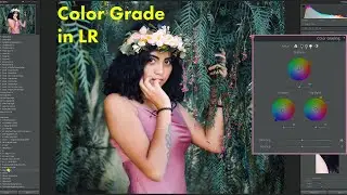 Color with the new Lightroom Color Panel