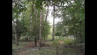 Тула. Центральный парк