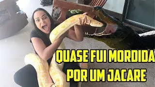 PEGANDO EM ANIMAIS DIFERENTES !!! O JACARE ME MORDEU???