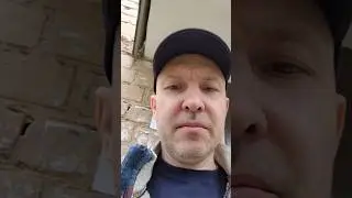 Почему неплохая работа вызывает негатив. 