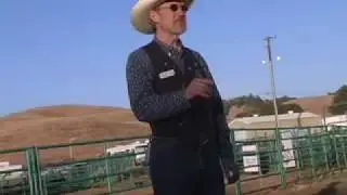 Serious Frog Jumpin' in Calaveras County
