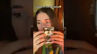 В следующем видео покажу фото Принца 😭 #асмр #триггеры #шепот #асмристории #тихийголос #таппинг