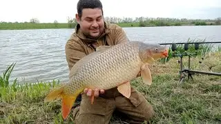 карп на стаканы.