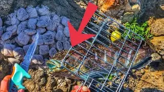 Tide Pool Exploration and COLOR CHANGING Fish for LUNCH on a Rocky Beach!!