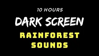 🌳Heavy Rain Forest Sounds🌳 | Dark Screen - 10 Hours Relax
