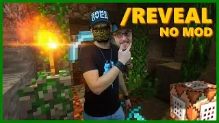 MINECRAFT : Xbox One/MCPE/PS4/Windows 10 /REVEAL TAUPE GUN