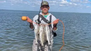 speckled trout fishing (down south lures)