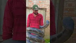 Garena Free Fire sent a dada big snake 😱😂 to my house for brother 🥰 #shorts #freefireshortstory