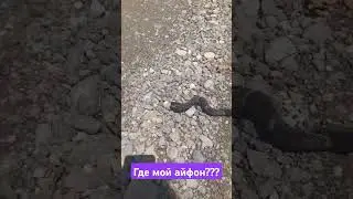 Где мой айфон???