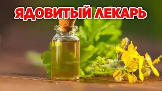 ЛЕЧИМ ГРИБОК СТОП ГЕРПЕС БОРОДАВКИ МАЗЬ ИЗ ЧИСТОТЕЛА СВОИМИ РУКАМИ