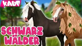 Das neue Schwarzwälder Kaltblut 🐴 PFERDEKAUF 🐴 Star Stable Online